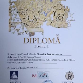 Diplome Pictura 10