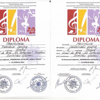 Diplome Pictura 17