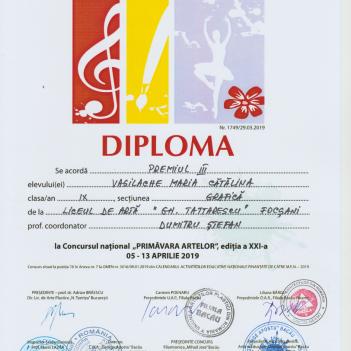 Diplome Pictura 207