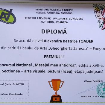 Diplome Pictura 7
