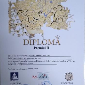 Diplome Pictura 9