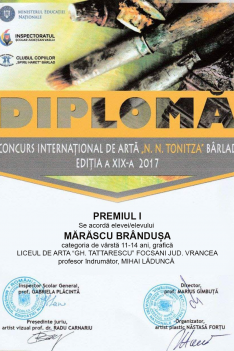 Premiul I - N Tonitza - Brandusa Marascu