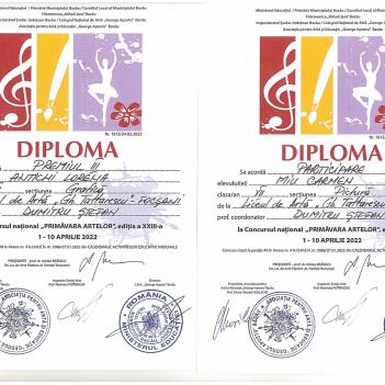Diplome Pictura 16