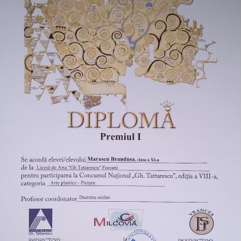 Diplome Pictura 19