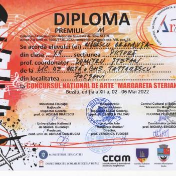 Diplome Pictura 1