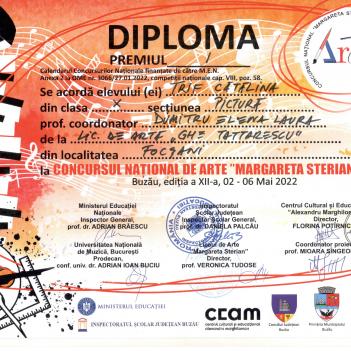 Diplome Pictura 2