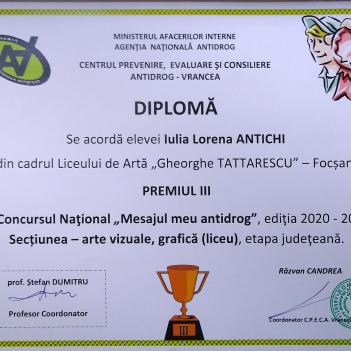 Diplome Pictura 4